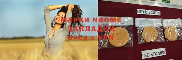 твердый Горняк