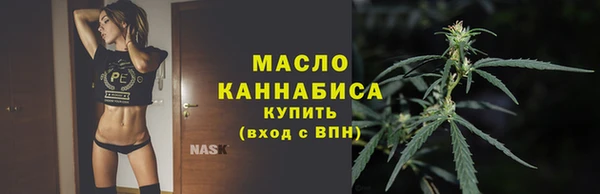 твердый Горняк