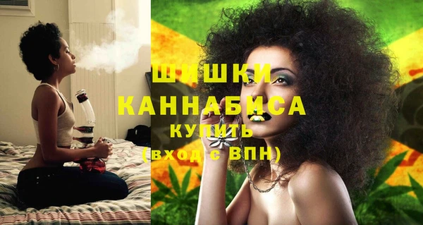 твердый Горняк
