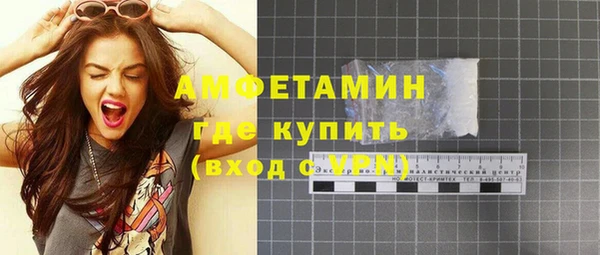 твердый Горняк